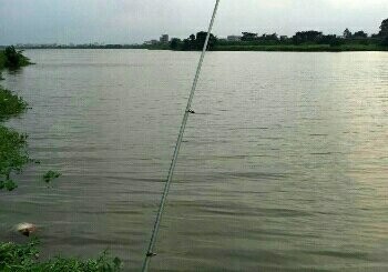 袂花江牛头河段