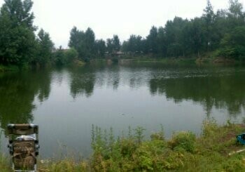 小徐疃村南砖厂