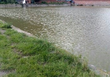 喜德生态钓鱼场