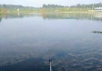 沂河刘家庄子段