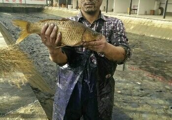 茌平县快乐垂钓园