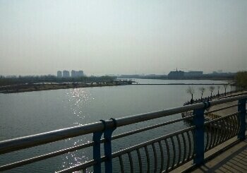 鸡龙河湿地公园