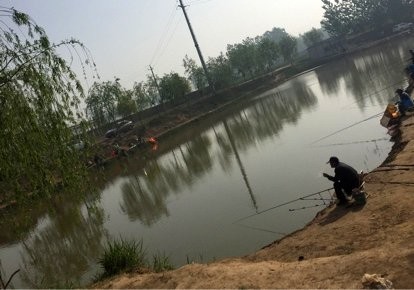 胡里庄肉联厂鱼坑