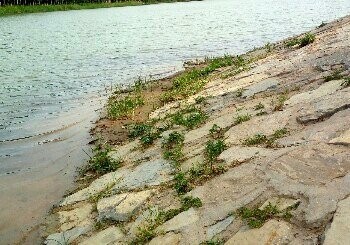 环城湖南镇沙池