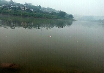 密溪乡排管灌站