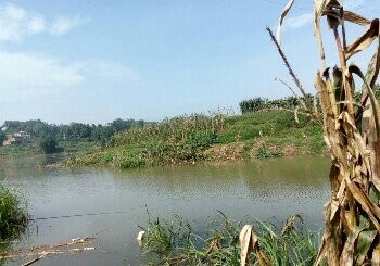 赤水河大石包段