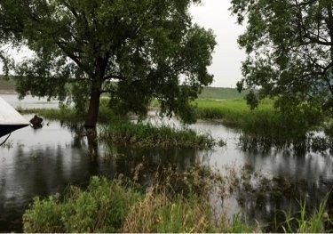 湖口工业园钓场