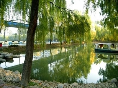 鑫源农家乐鱼馆