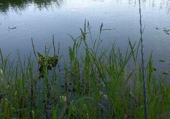 大运河梁宝寺段