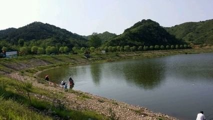 枫林雅阁生态园