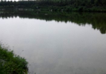 年年有鱼垂钓中心