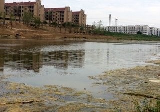 玉兰大道桥钓场