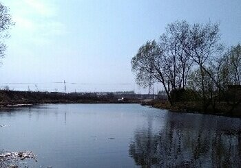 大石桥赵四鱼塘