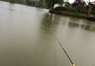 生态公园钓鱼场