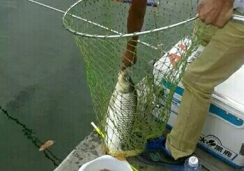 梧村钓场