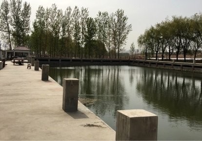 鱼跃垂钓园