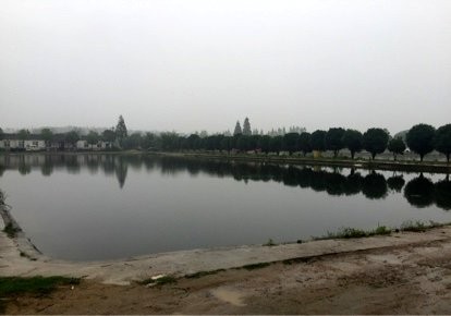 大圩中心垂钓基地