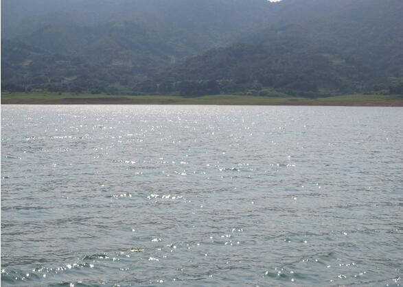 五马洲生态钓场