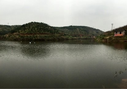 阿森松钓友俱乐部第一钓场