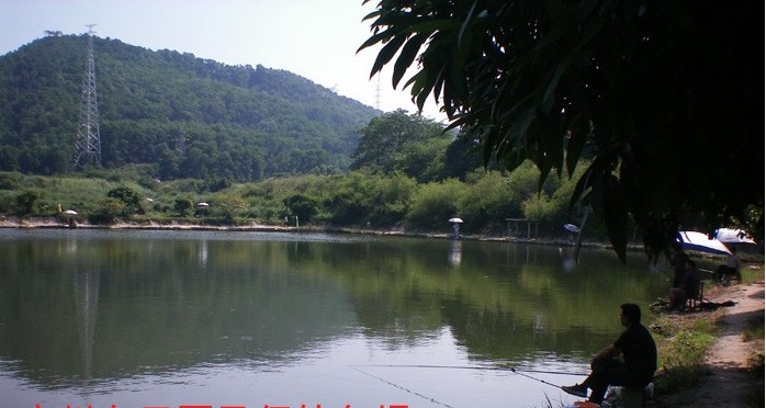马仔钓鱼场