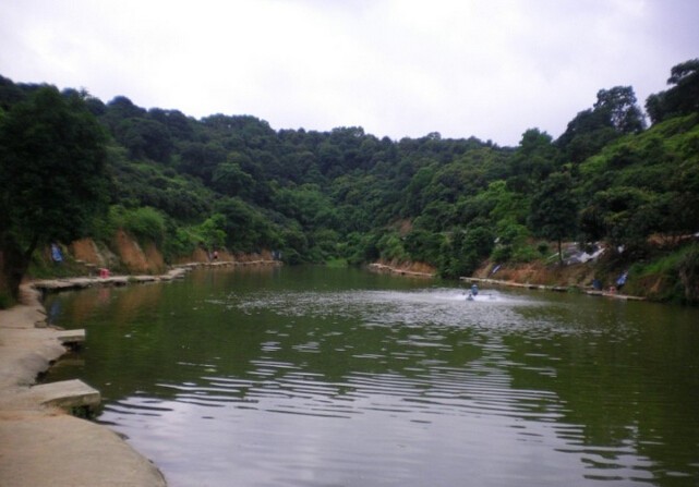 太和山塘钓鱼场