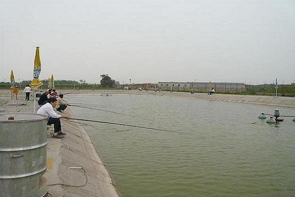 静心谷休闲钓鱼场