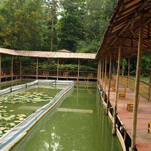 大夫山原生态钓鱼场