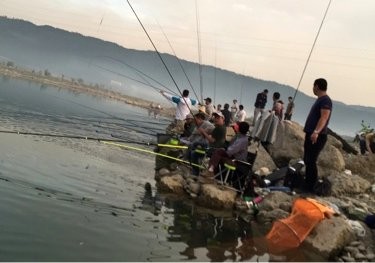 曲回电站口子钓点