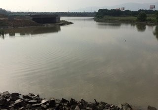 三江口清富鱼塘