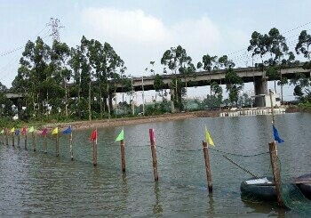 营前竞技乐钓场