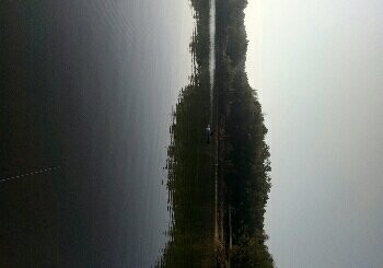 叶洋山泉钓鱼台