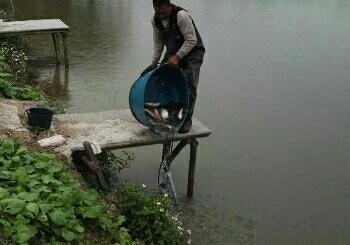 漁乐钓鱼钓虾场