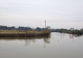 坪塘围家庭农场