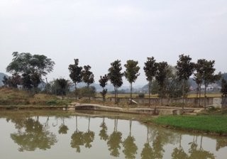 枫树河生态农庄