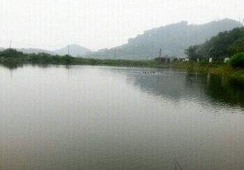 中天会生态休闲农庄