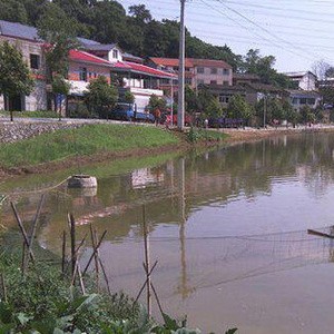 夏家生态鱼塘