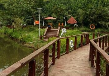 园博园钓鱼基地