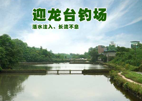 迎龙台钓场