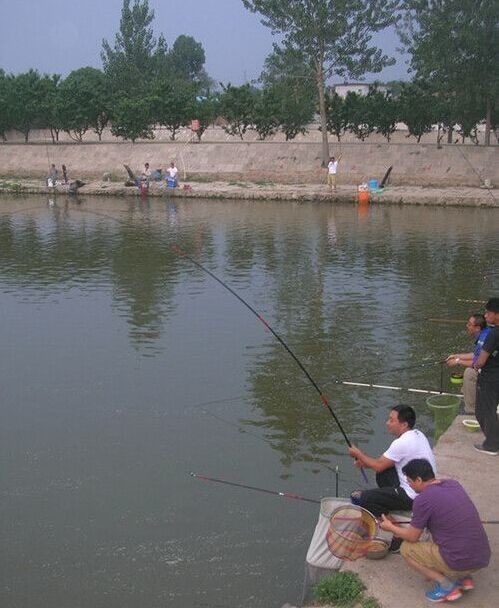 鑫鑫运来垂钓园