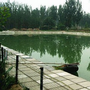 永定庄园垂钓园