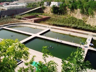 碧溪垂钓园