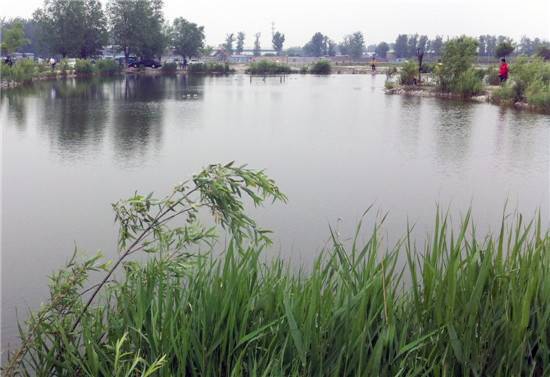 金色时光垂钓园