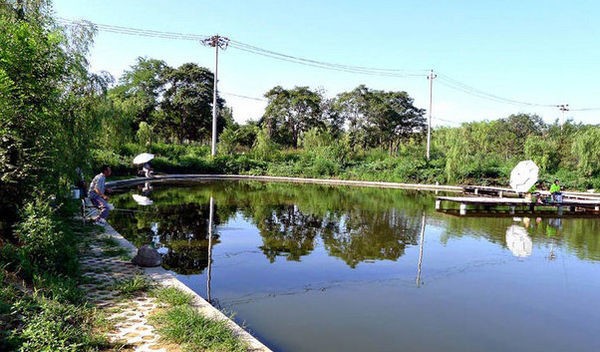 高家堡垂钓园