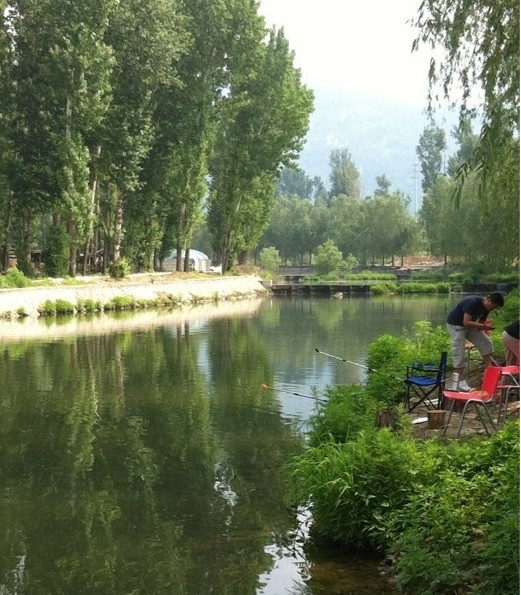 陶朱园垂钓中心