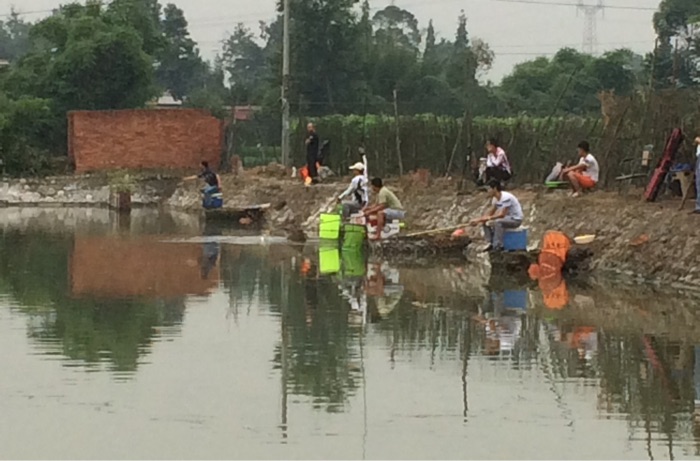 蒙阳湖防洪站鱼塘