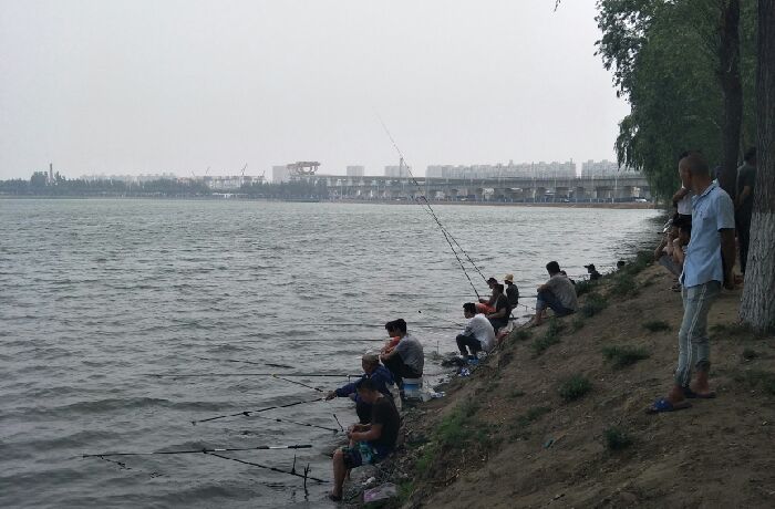 丁香湖停车场钓点