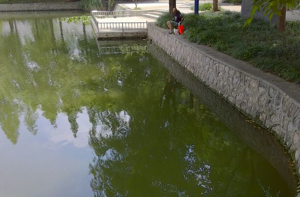 南京理工大学校园小湖