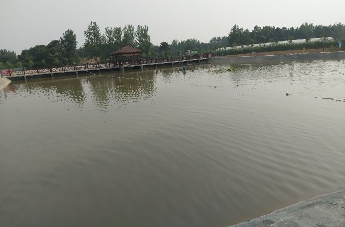 郑州原林生态农业