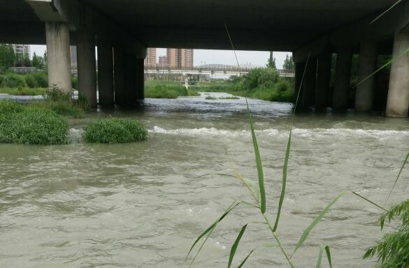 毗河北欧知识城段