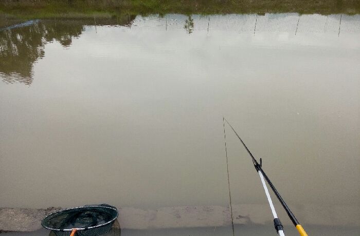 月华生态钓鱼场